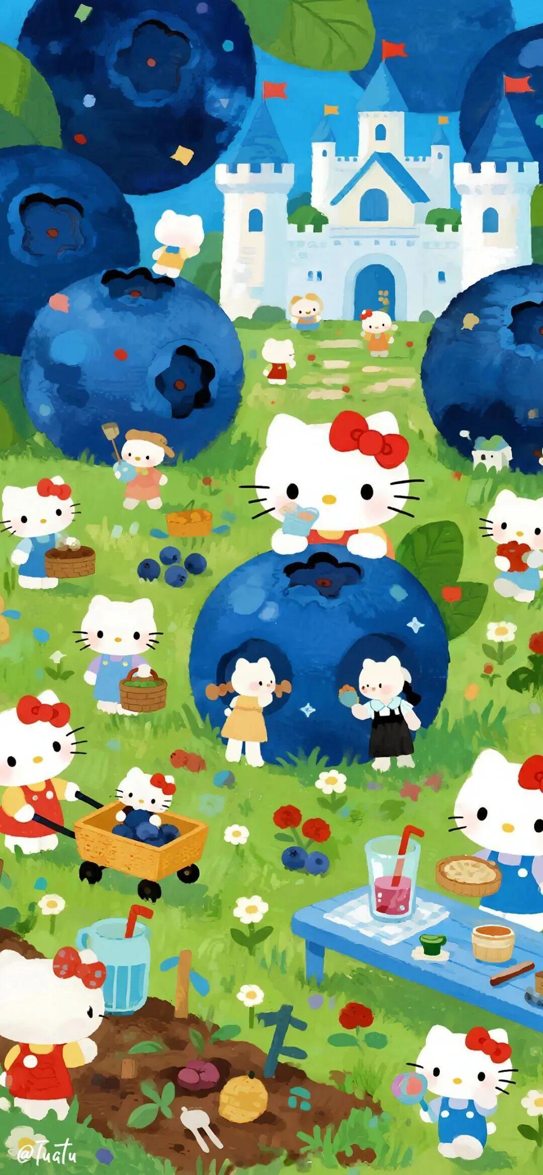 全屏/ 高清 / 手机壁纸 / 凯迪猫 / 聊天背景图 