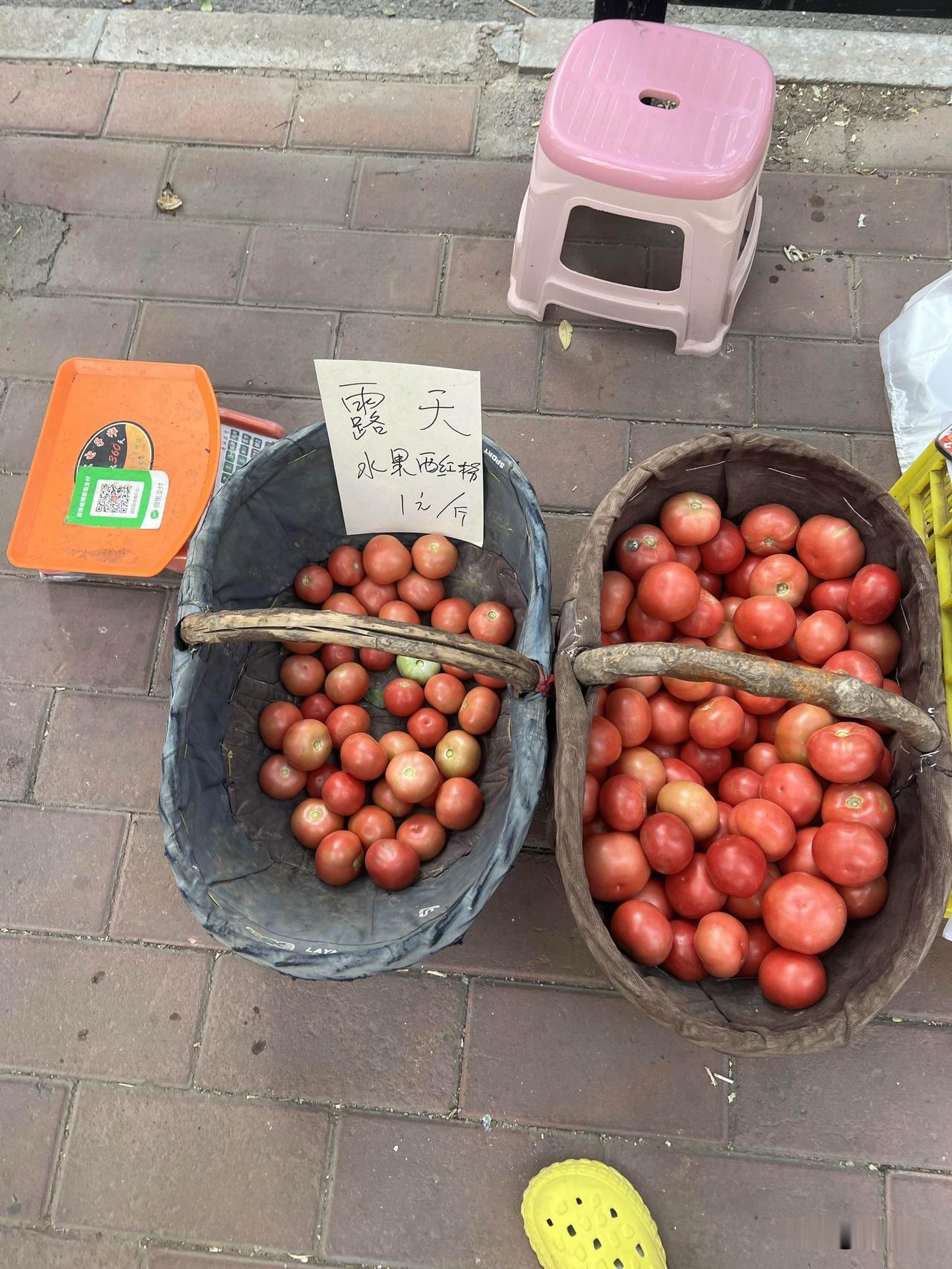 兰州最近陆地西红柿可多了，而且价格挺低的，昨天早上去早市买菜，发现这便宜的西红柿