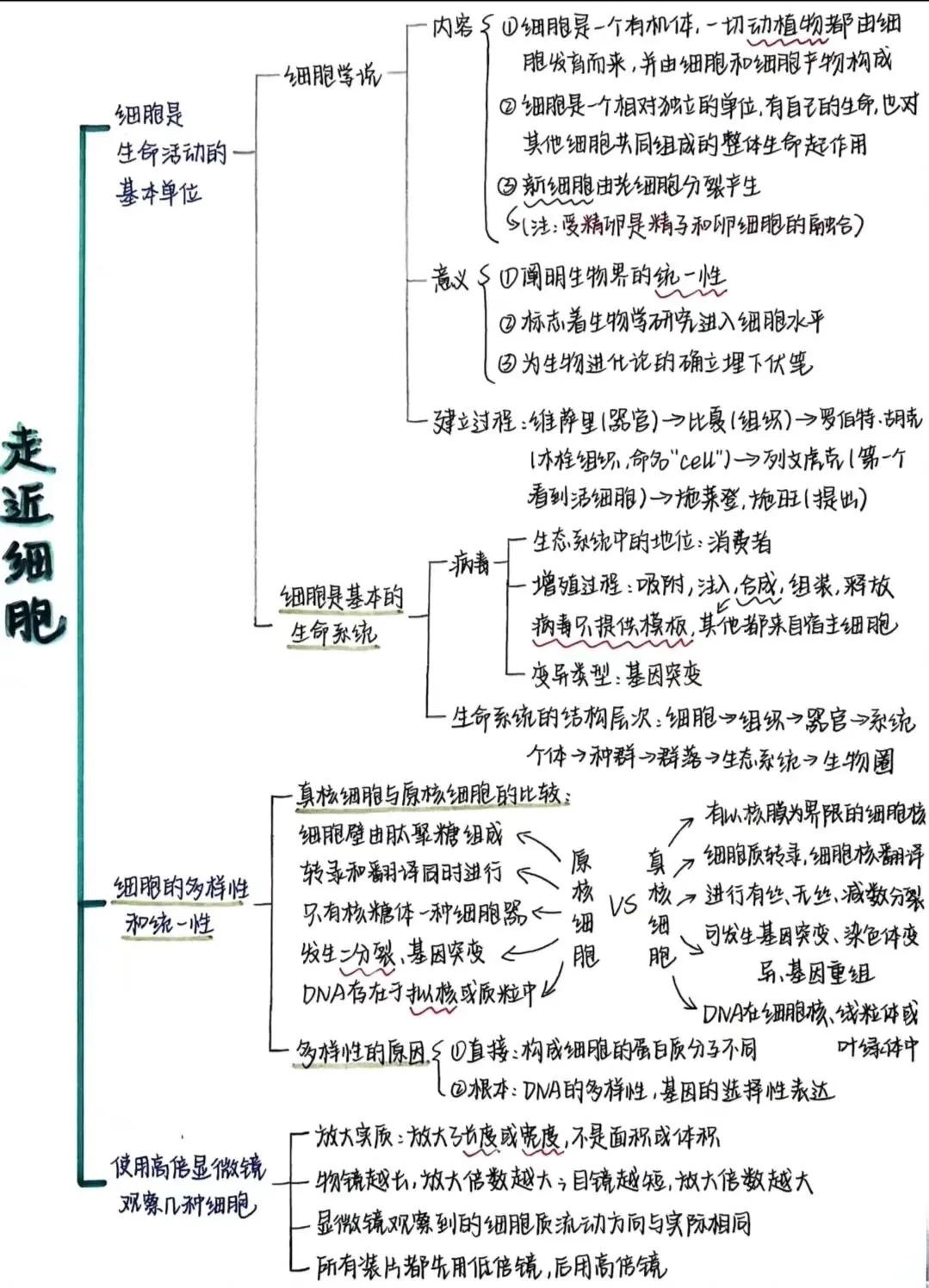 一切动植物都是由细胞发育而来，包括人类。

#生物书笔记#