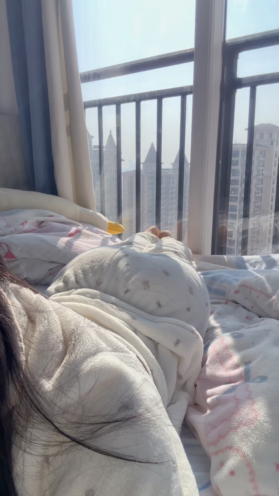 今天的太阳太适合懒床了 