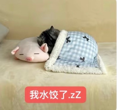 困了 晚安 23点起来续火 