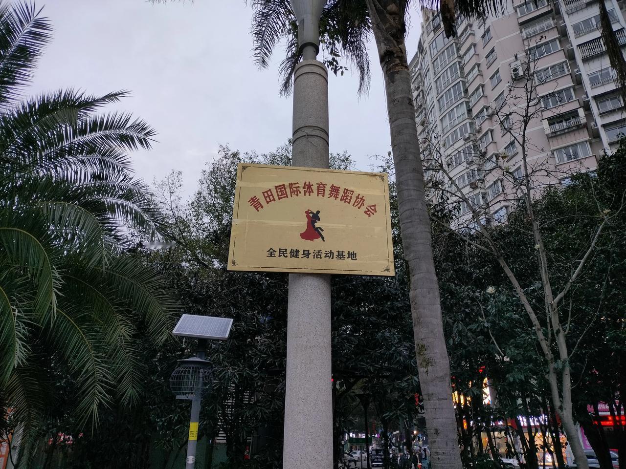 三十年河东，三十年河西。广场舞也走国际线路，由原来的游兵散勇变成了现在的正规军。