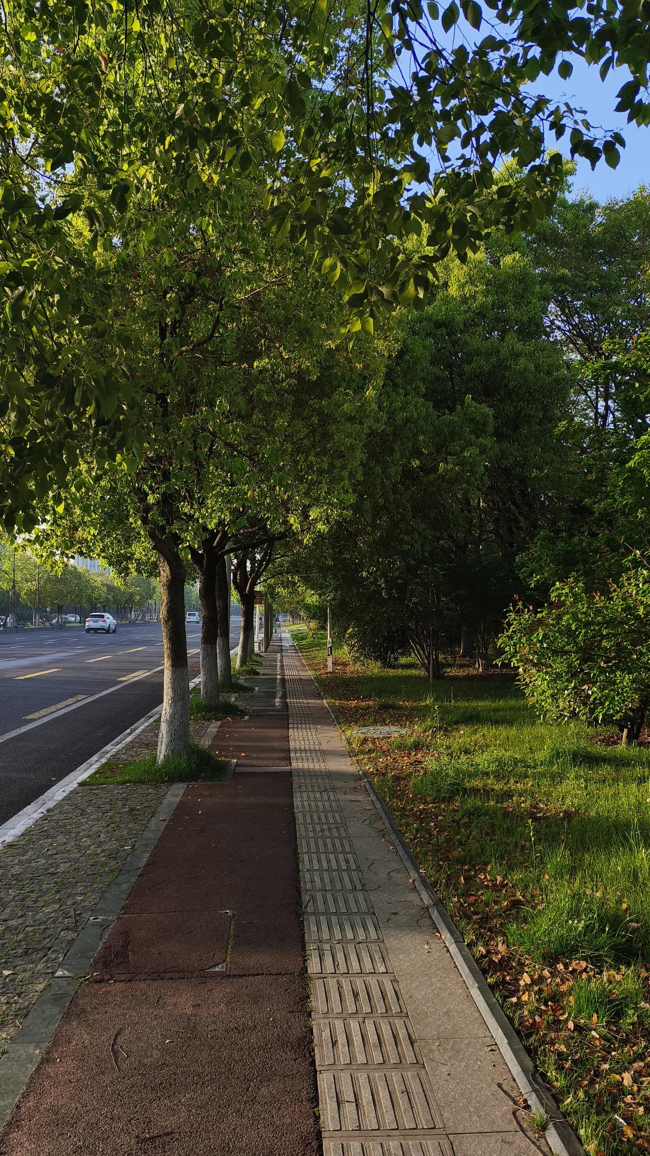这一放晴气温就开始回升，未来三天江苏主打晴到多云。南京周日最高气温能冲上26℃，