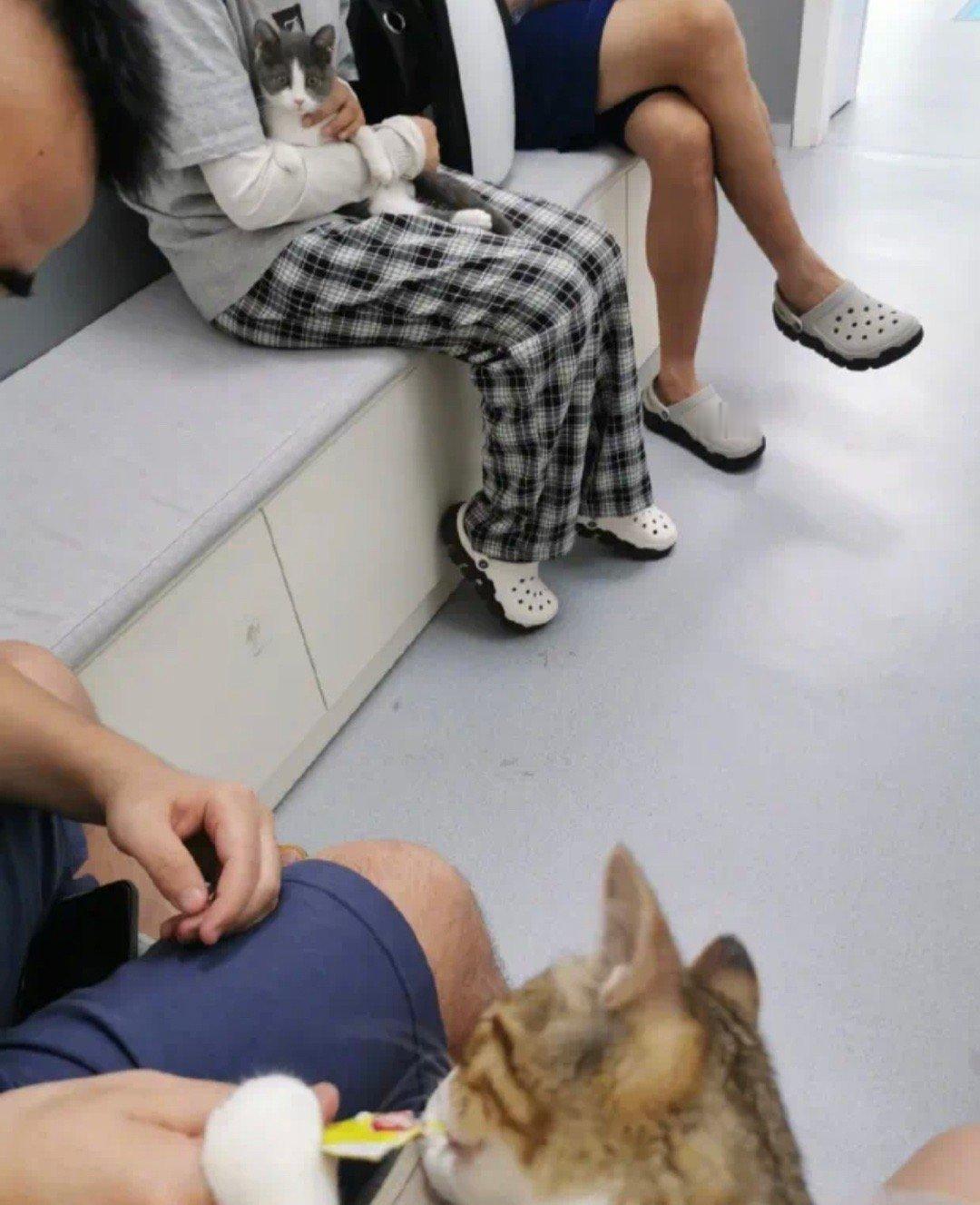 对面小孩都馋哭了 ​​​