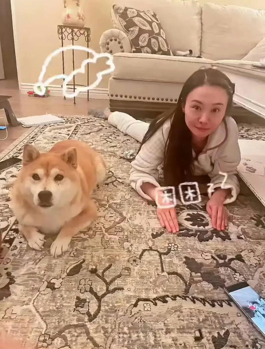 退圈后大豪宅住着，狗子养着，挺好的 