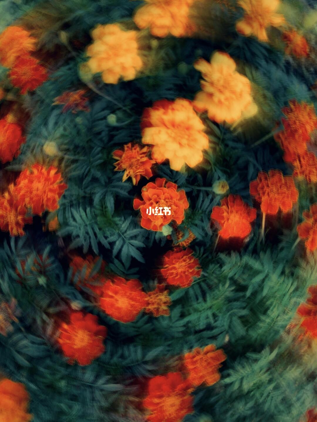 看看不加tag会推给哪些MBTI