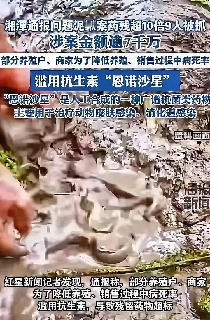 传闻称，竟有高达500万斤的“问题泥鳅”悄悄溜进了百姓的餐桌，这消息是否让您心头