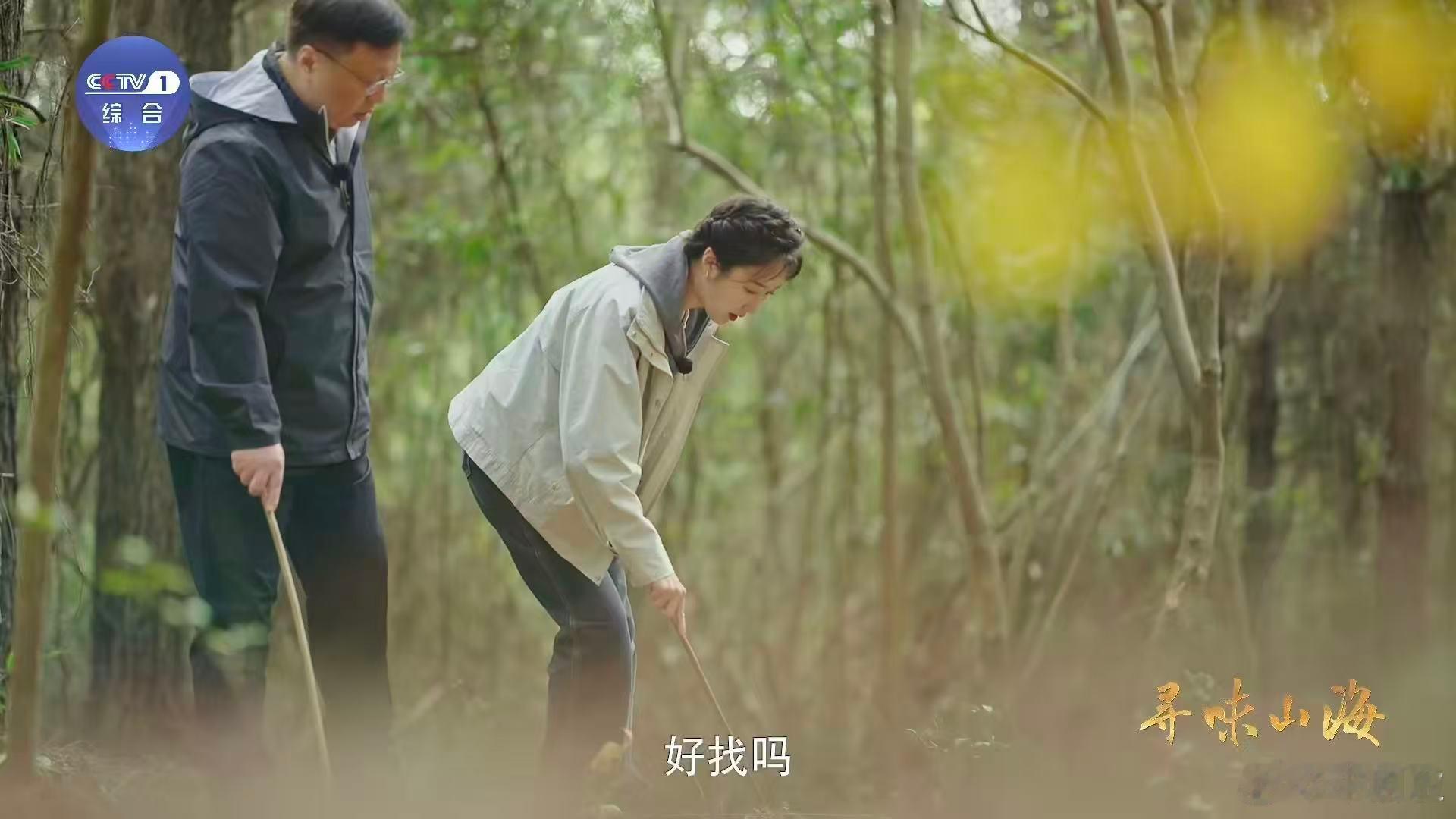 为这口菌子等了寒露又等雨鲜掉眉毛的雁来蕈名字咋来的 寒露至，雁南飞，雁来蕈应时而