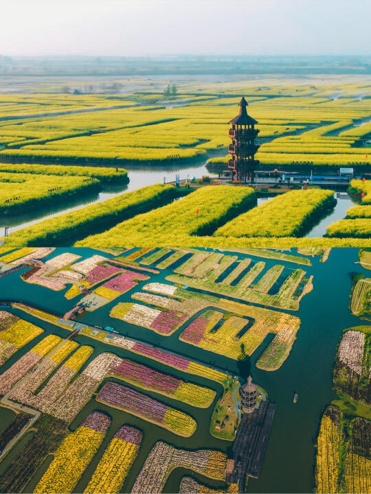 藏不住了！三月份的兴化是一万次的春和景明