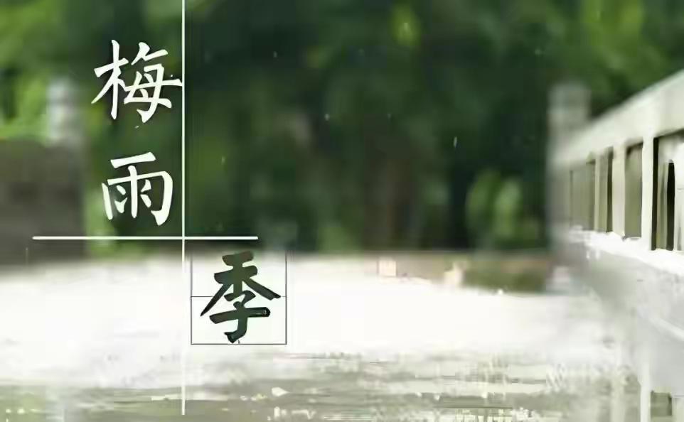 今天入梅了，我们正式进入28天的黄梅雨季，不过，令我们上海人意外的是:上海今天是