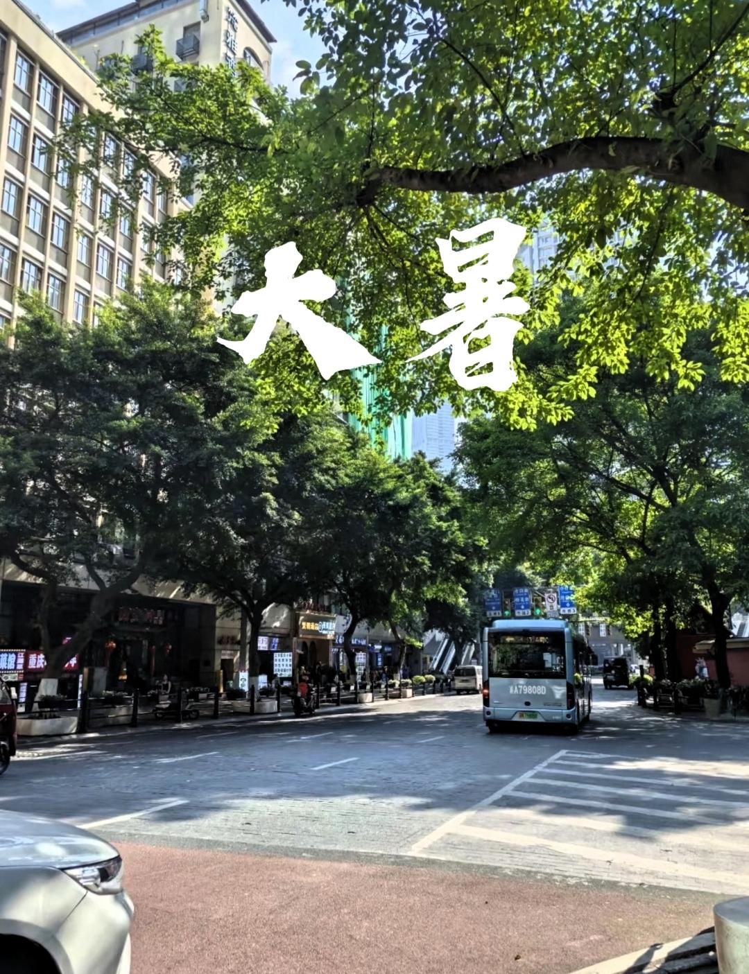 明天就是大暑icon，2026年交节在7月23日凌晨3点12分。老话讲“早大暑凉