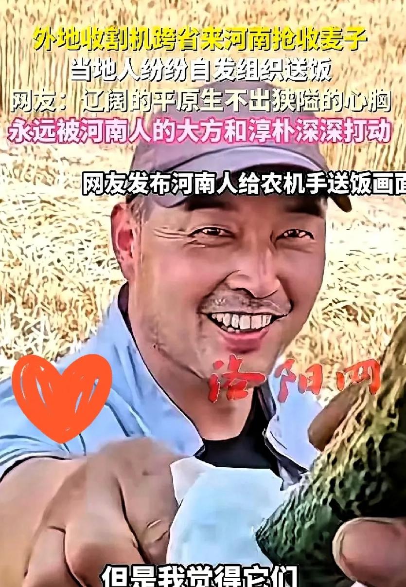 收麦子的师傅，在湖北被人讹了钱，连夜跑了。
结果一进河南地界，傻了。地头边上，乌