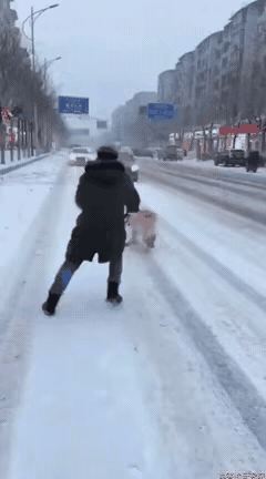 冰雪路面，还好司机刹住了车，不然爱犬扯着就送了命。
