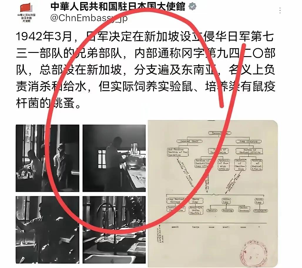 网上炸锅！中国使馆晒80年档案，新加坡总理的“和事佬”人设绷不住了
 
不少人印