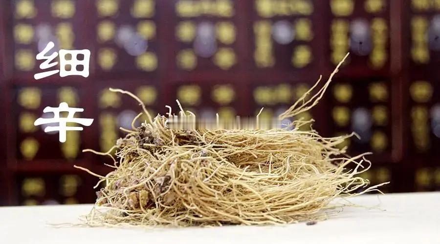 细辛的使用要诀仲景方中细辛主治胸胁、心下宿饮停水所致的咳逆、胸满、胁痛、心下坚大