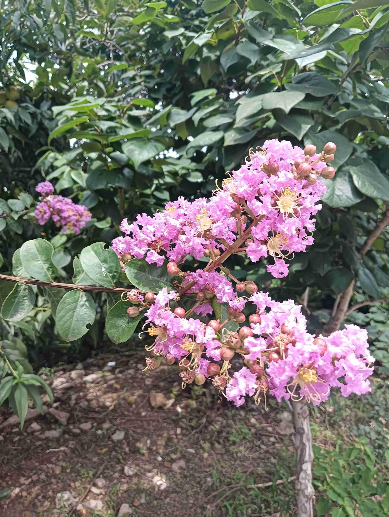 我的今日状态：😁轻松愉快
我这里的天气：🌈雨过天晴