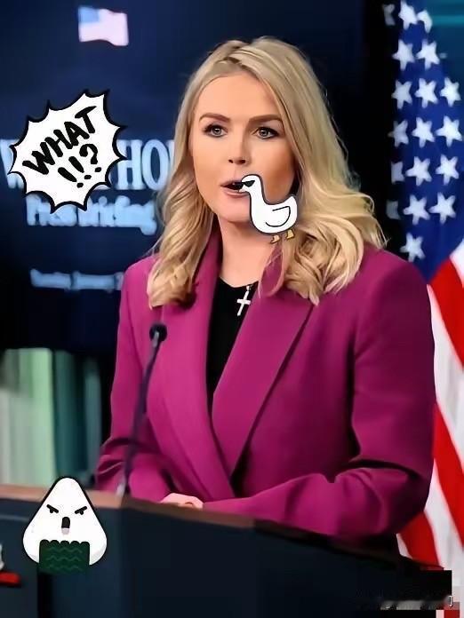 一针见血！白宫发言人卡罗琳·莱维特表示，美国已经厌倦为了开会而开会！她强调，希望
