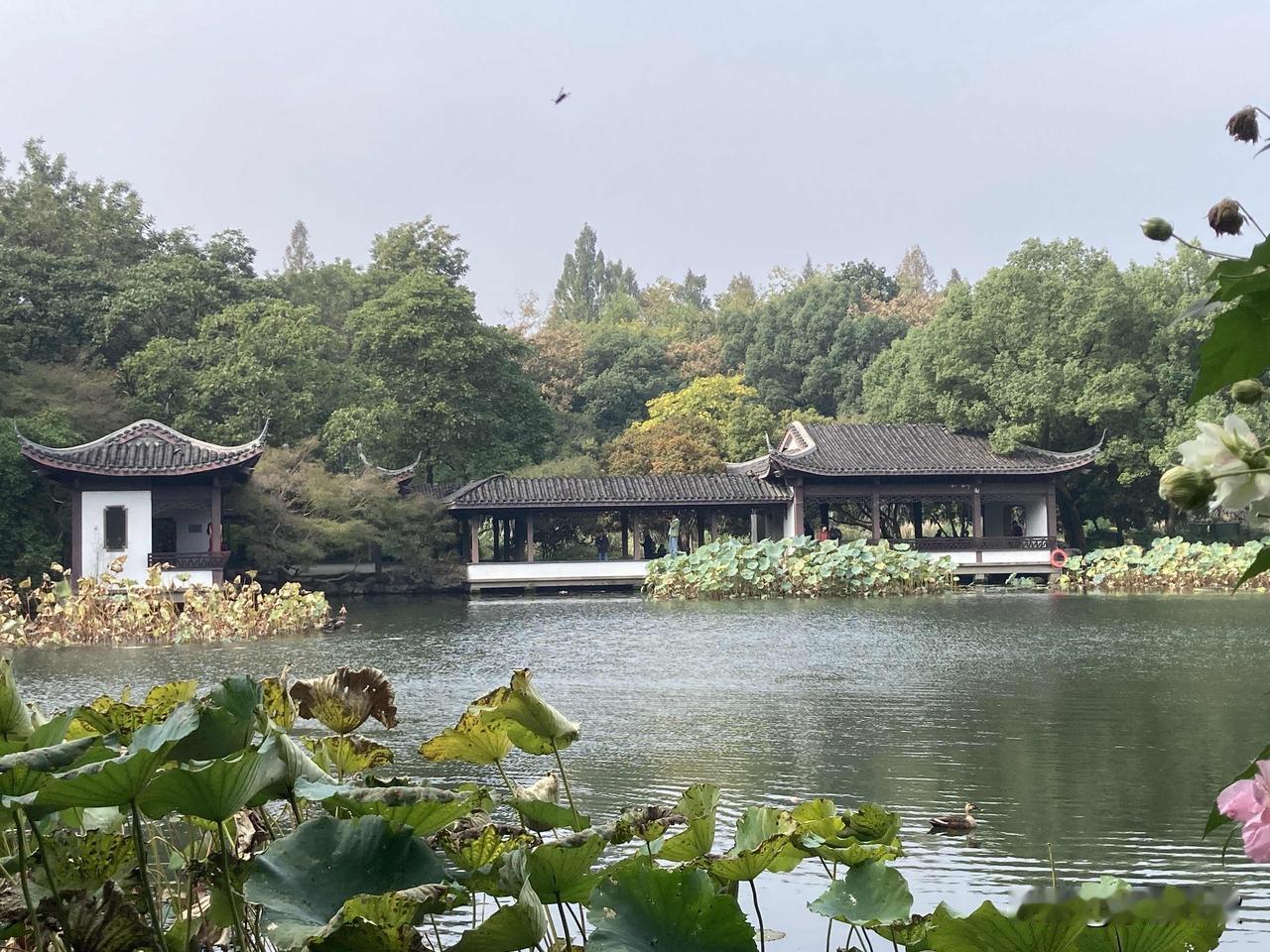 分享一张自然风景照