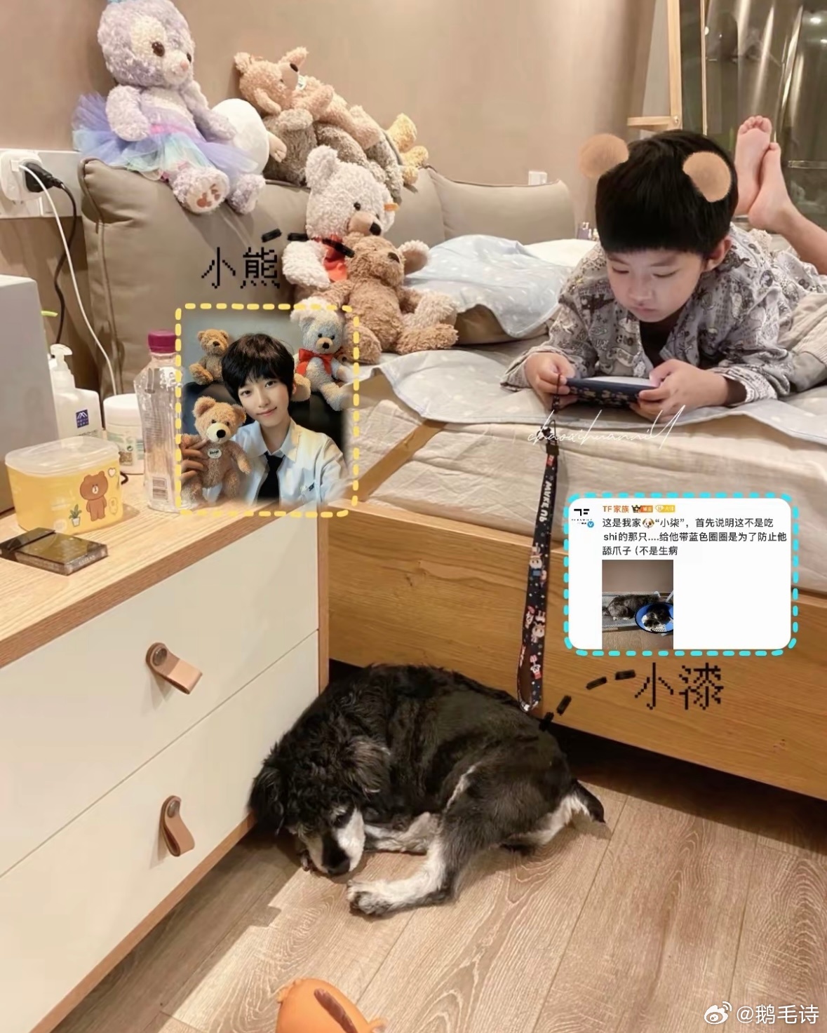小熊和小狗陪着吕政熙一起长大