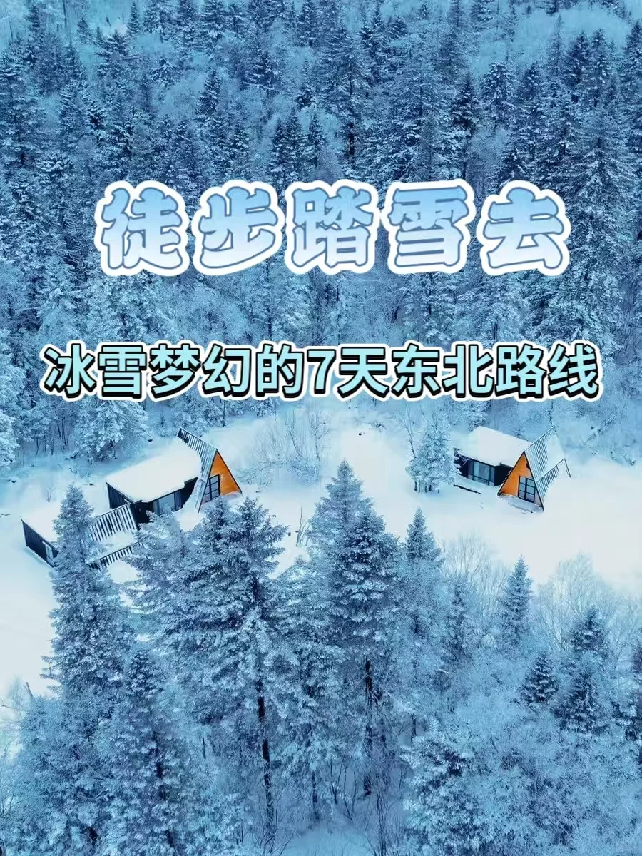 徒步踏雪去|一起进入冬日童话世界