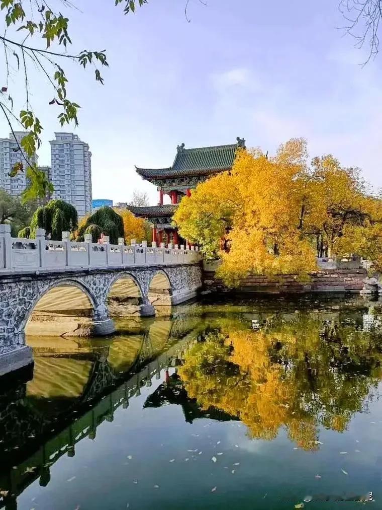 感悟人生，忍让与善良的力量

岁月如歌，时光荏苒。转眼间，我已步入耄耋之年。回顾