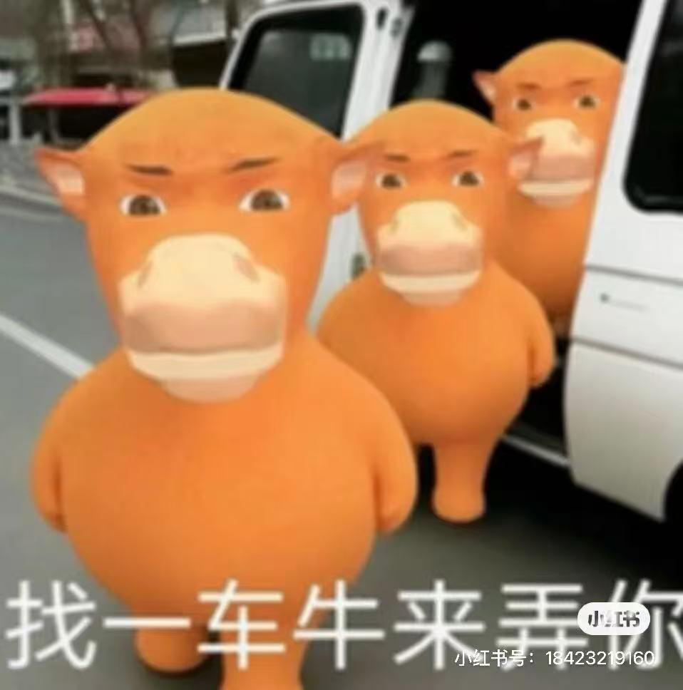 你真的看懂《牛来》了吗？今年暑期档大片云集，《功夫女足》《八仙》《蜘蛛侠：崭新之