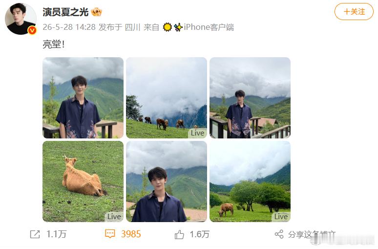 夏之光镜头感夏之光亮堂式营业夏之光的亮堂式营业太有辨识度，夏之光镜头感，阳光开朗