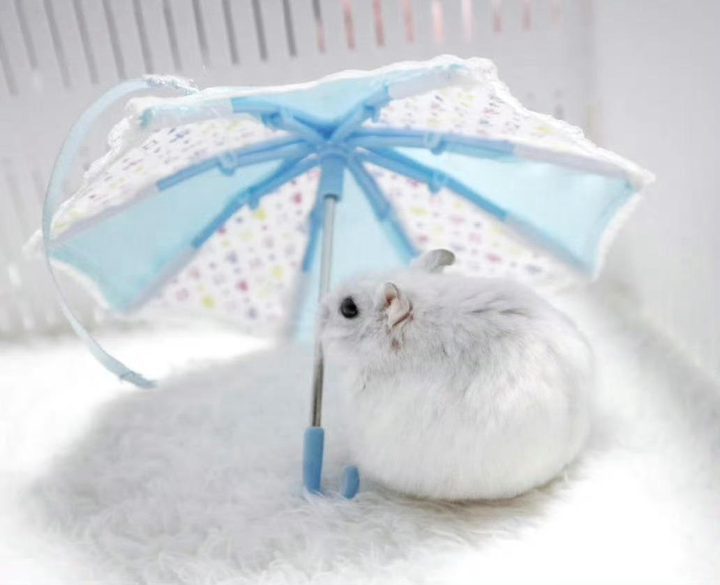 代一下我们家软软糯糯的小蓝💙~ ​​​