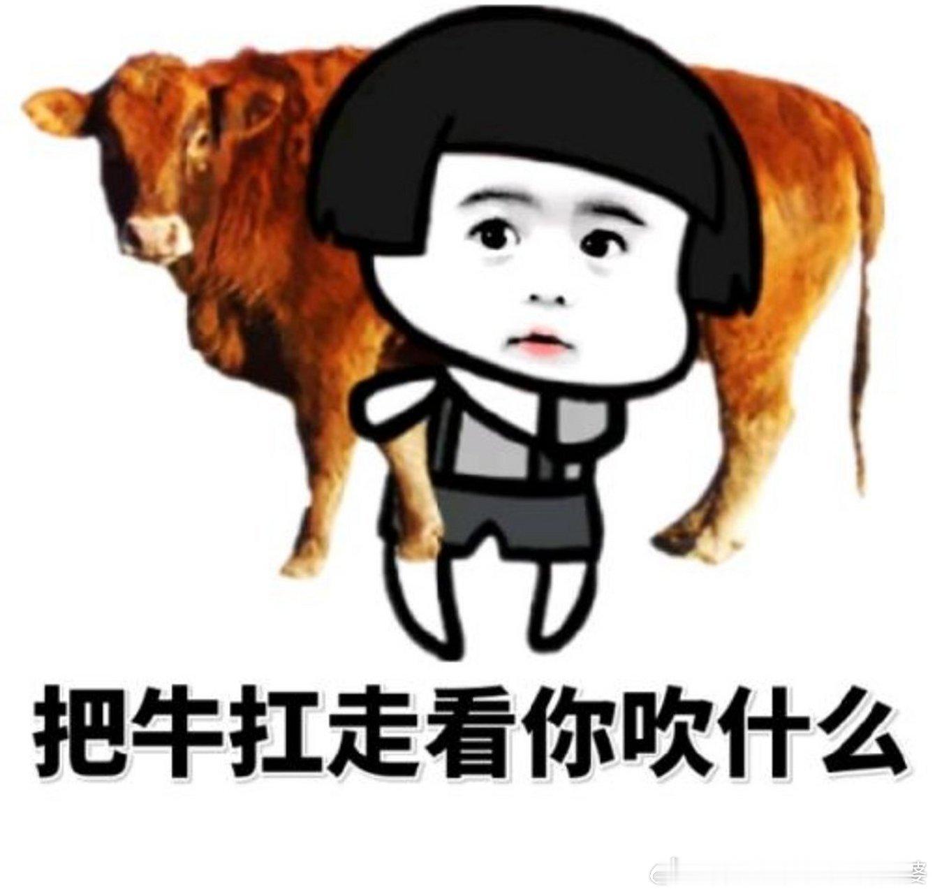 吴京 我的夫人姓谢夫人让坦克轧过？夫人差点死过吗？夫人野外生存把人干了？中国的蚯