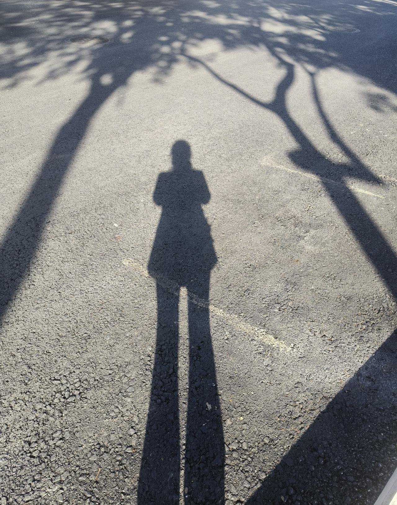 我的影子
|椛尘埃

公交车碾过我的影子，我没有一丝疼痛。随着车轮远去，那道灰黑