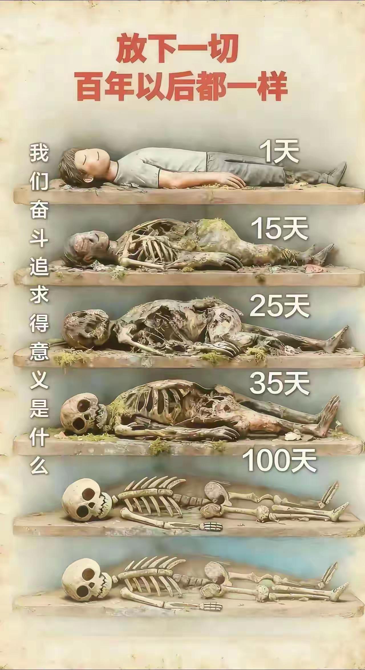 看完这张图，突然懂了：炒股的意义，根本不是为了钱
 
“放下一切，百年以后都一样