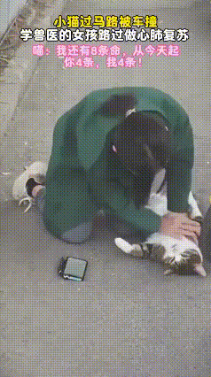 猫咪过马路被撞遇险，兽医女孩紧急施救，这场缘分太暖了！
 
一只猫咪过马路时不幸