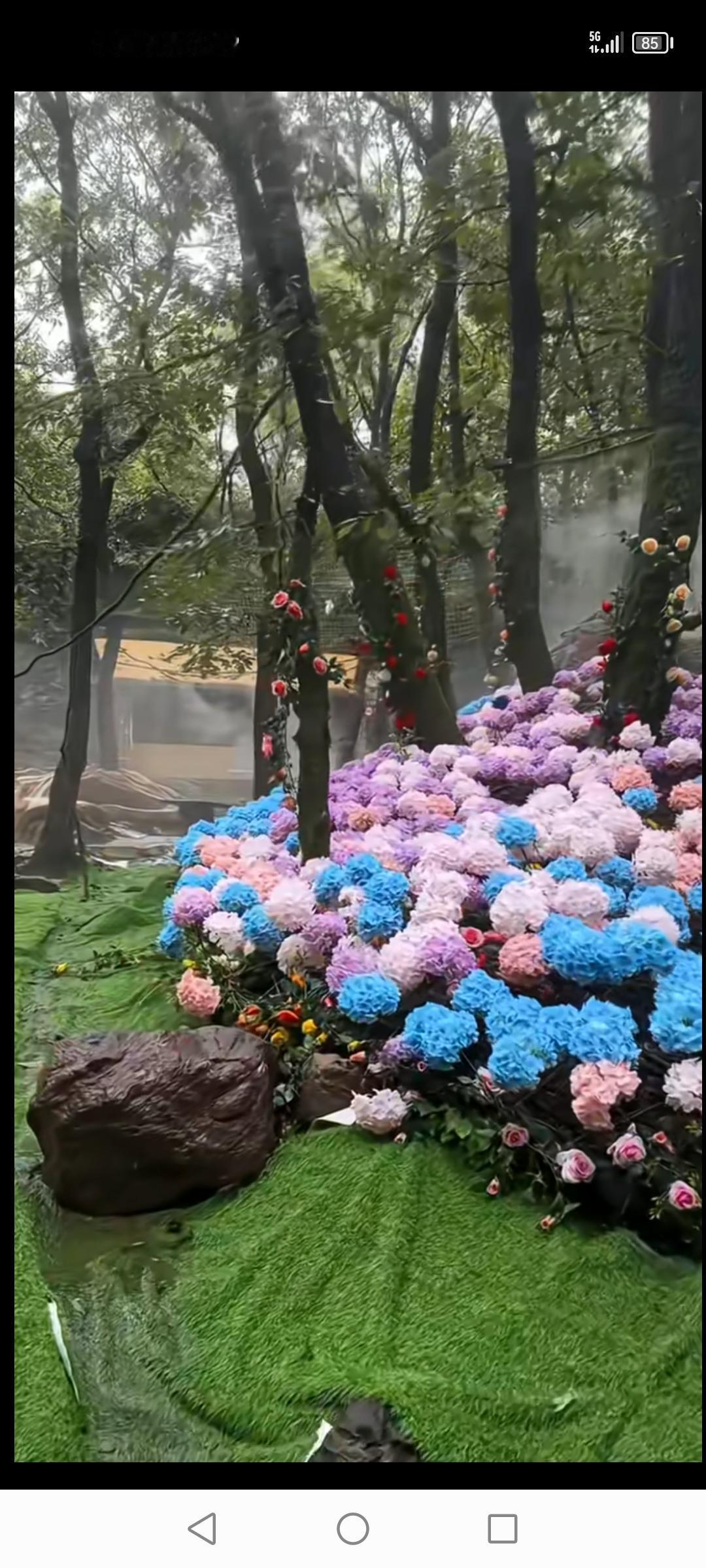 许昌大鸿寨，真可谓“山不在高，有仙则名”。它位于禹州市浅井镇具茨山腹地，海拔77