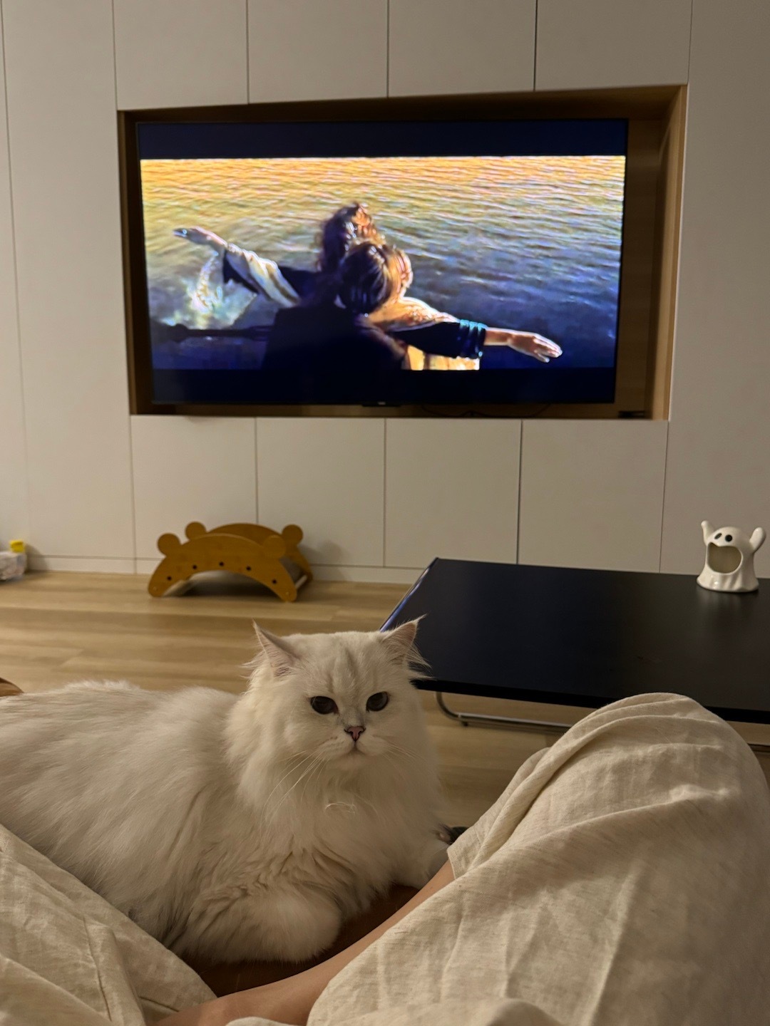1️⃣小猫真的是太治愈了2️⃣中秋小聚3️⃣剪头发4️⃣姐妹生日5️⃣回家6️⃣