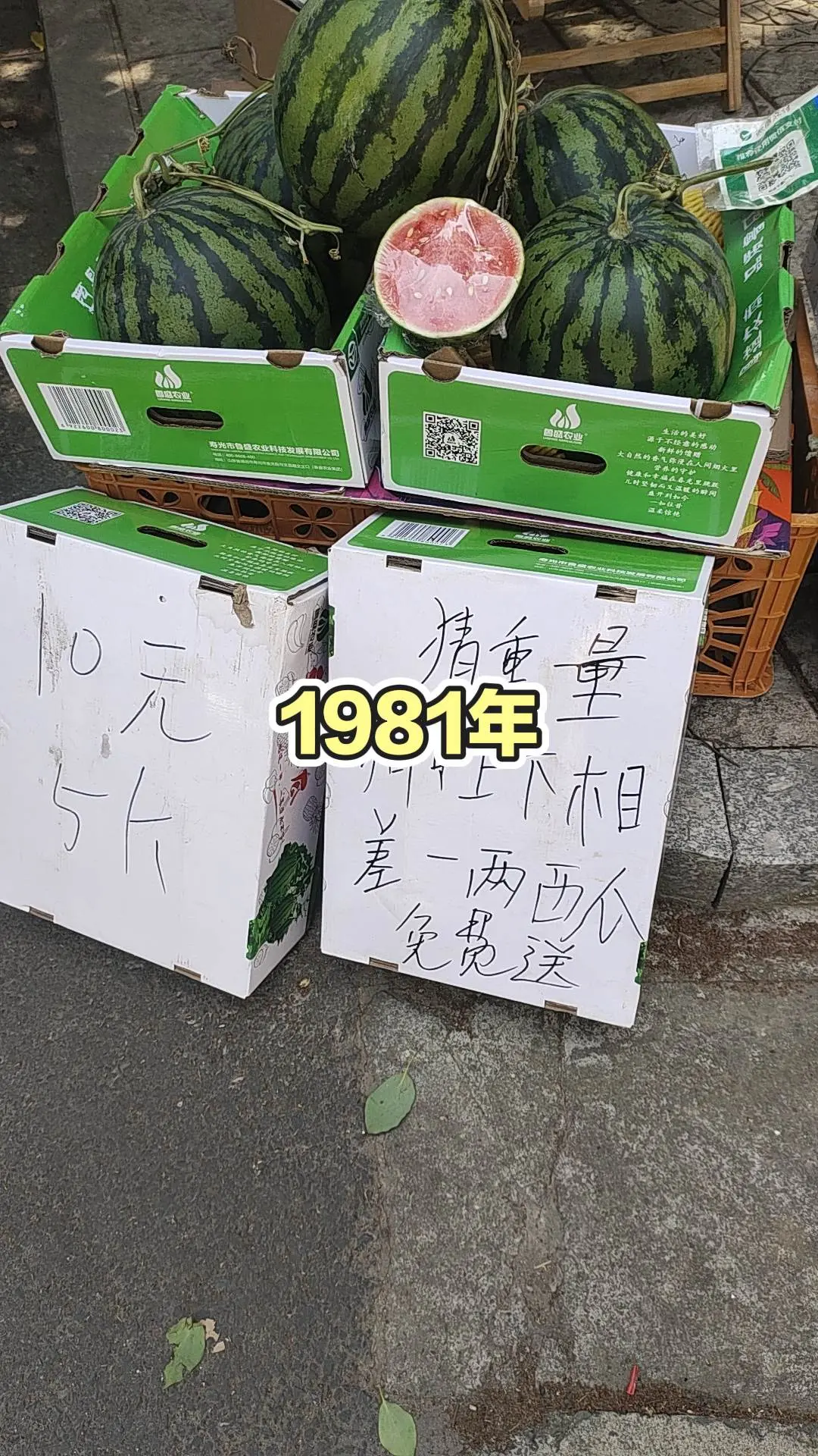 娱乐