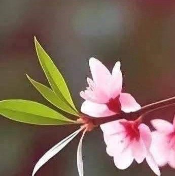 阳光信用  早安美好的一天开始"新的一天开始啦，记得微笑面对，让每一刻都充满阳光