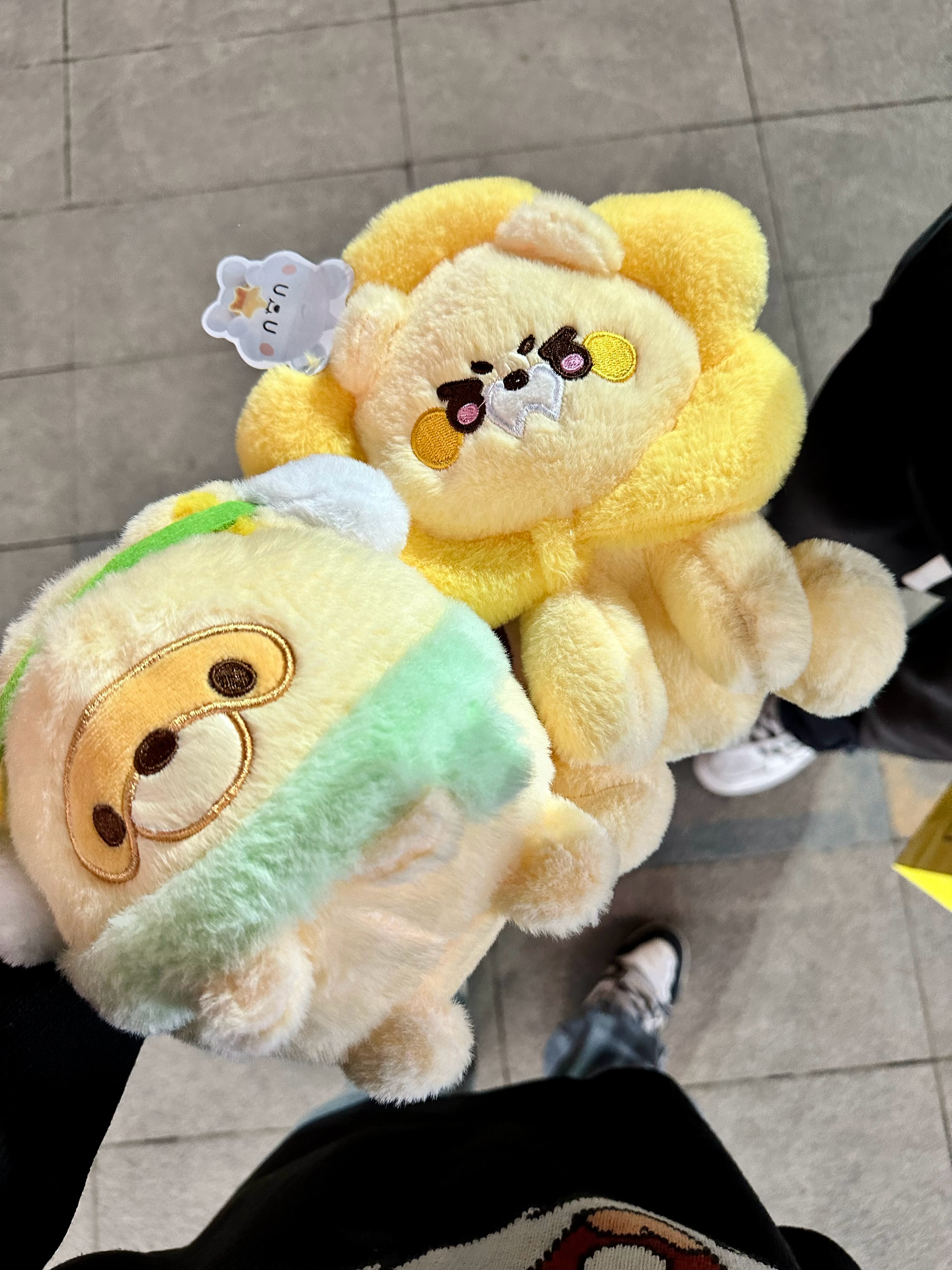 今天抓的两只！其他的给弟弟兑换盲盒了，这俩只喜欢吗？ ​​​