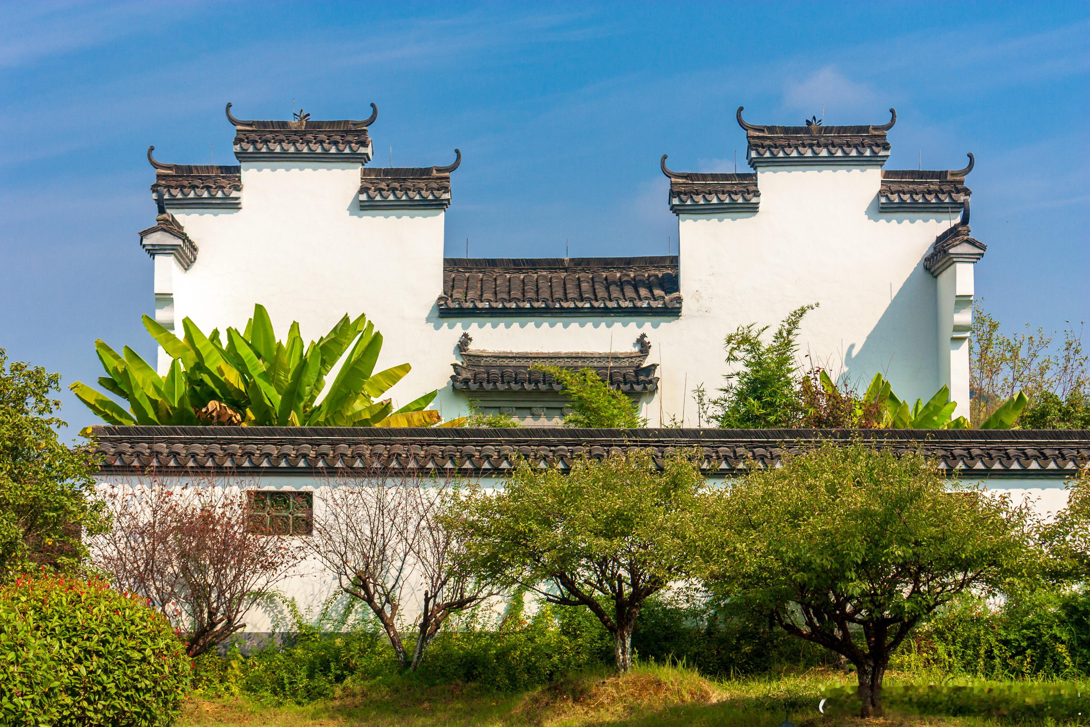 杨老师，我是先发论文还是先申请专利？我国专利审批采用先申请原则，即两个以上的申请