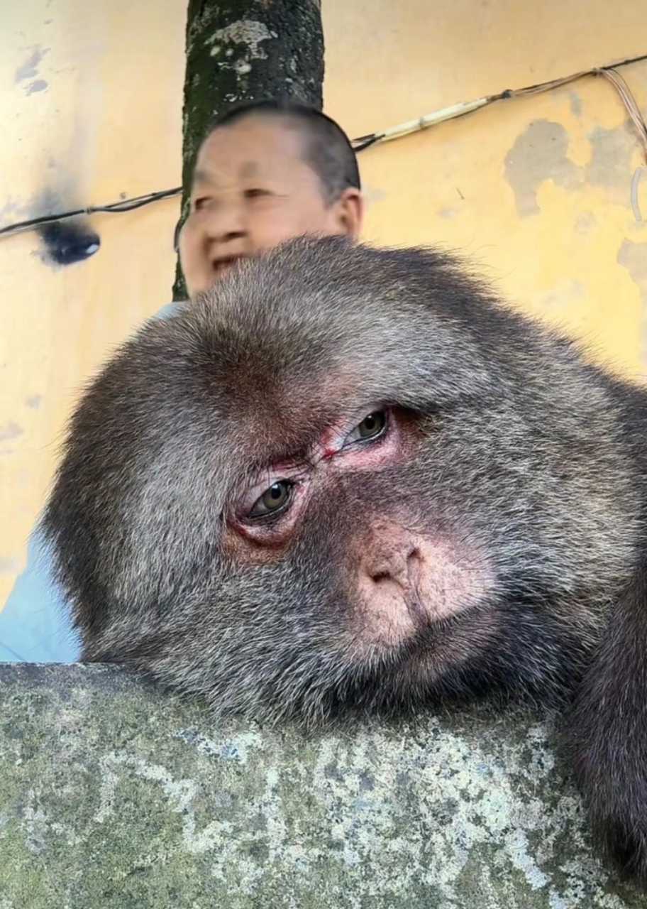 7616【🐵】如果忧郁是一种天赋 