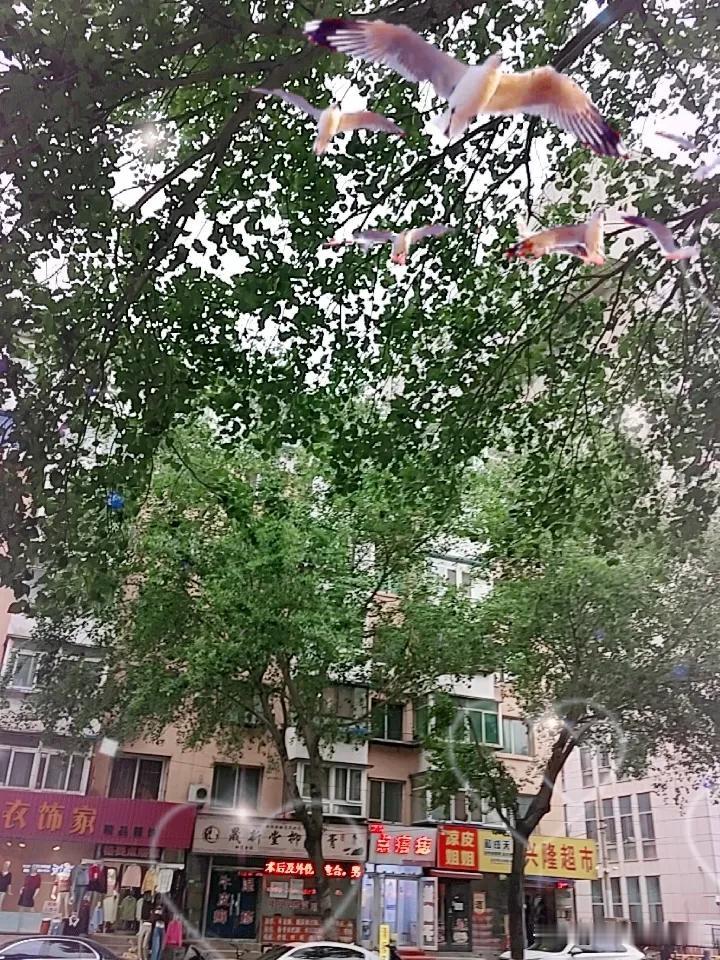 晒图笔记大赛