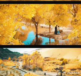 花开锦绣的热度水分有多少 