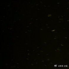 种地吧 集卡集卡集卡十个勤天