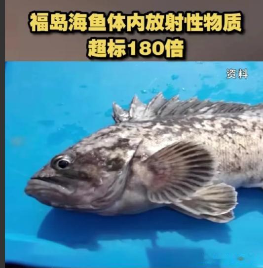日本核污水排放最新消息：第一天就排入约6000吨核污染水，然后立马发现福岛周边的