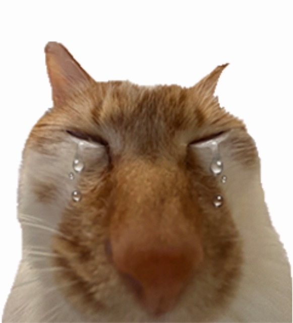 一万年 看现场高糊视频我都要哭了