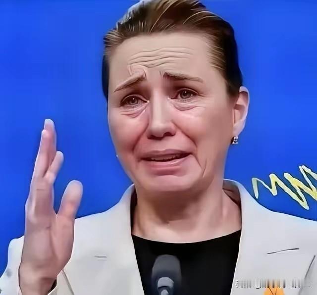 格陵兰岛不接受中国资本！

丹麦外交大臣拉斯穆森，在不同的场合多次公开表态，过去