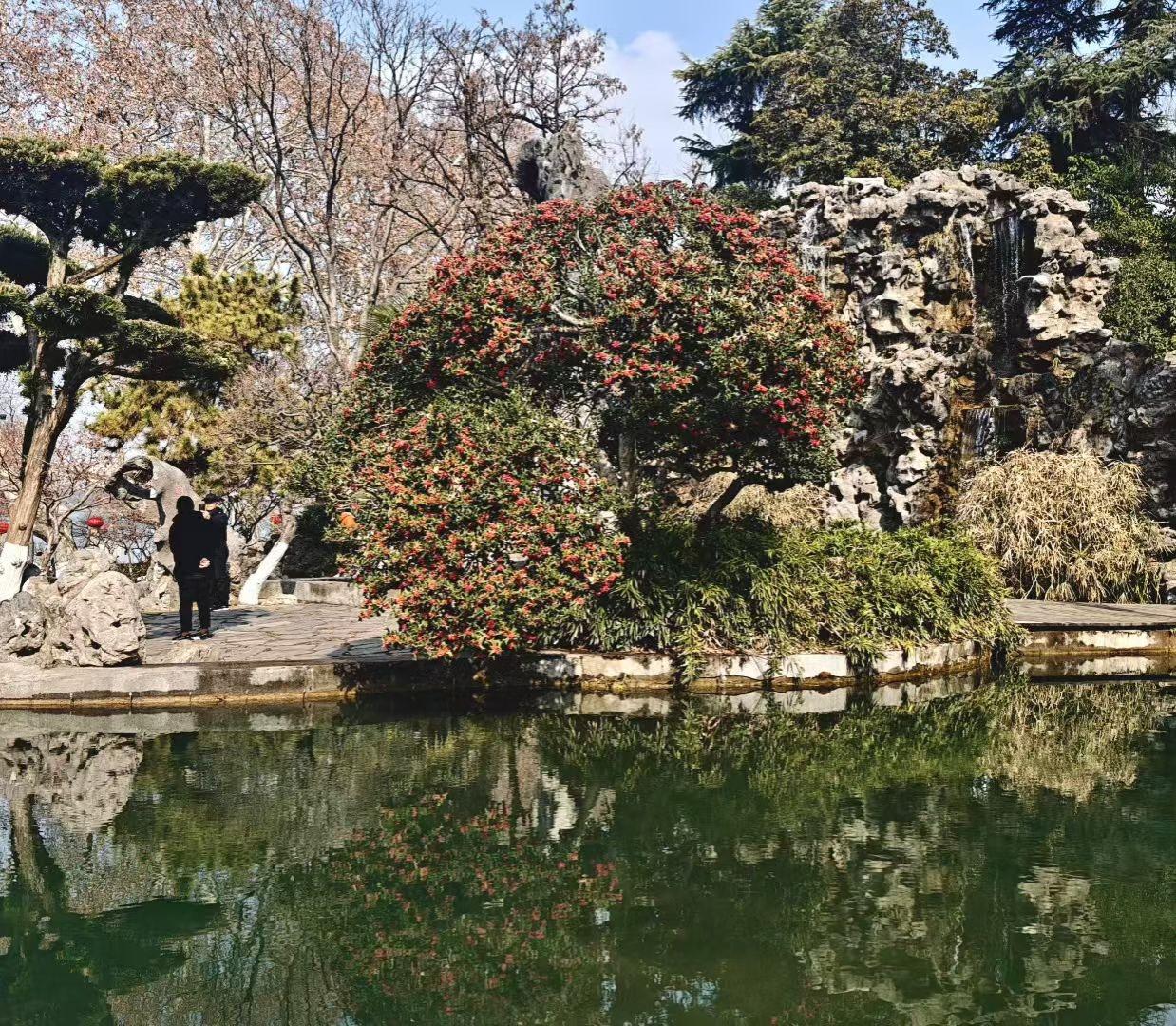 红山茶把春意揉进圆滚滚的花团，湖水接住山石与树的倒影，连游人的身影，都成了这方园