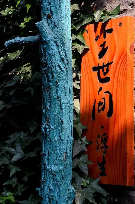 七律.浮生浅悟
                 符进朝
世事纷纭若转蓬，半生漂