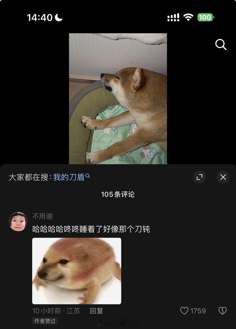 哈哈哈 
