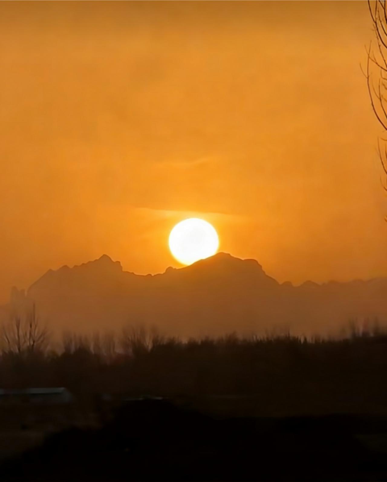 分享一张随手拍