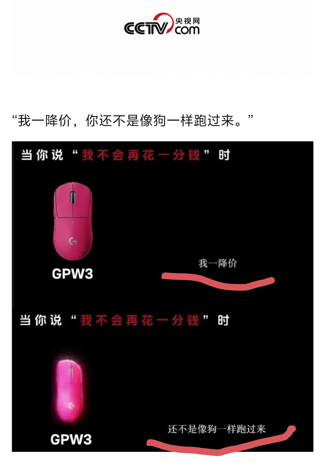 央视网评罗技侮辱性广告罗技真是漂了啊把消费者当“狗”好吧，这下看看谁会是“罗技狗